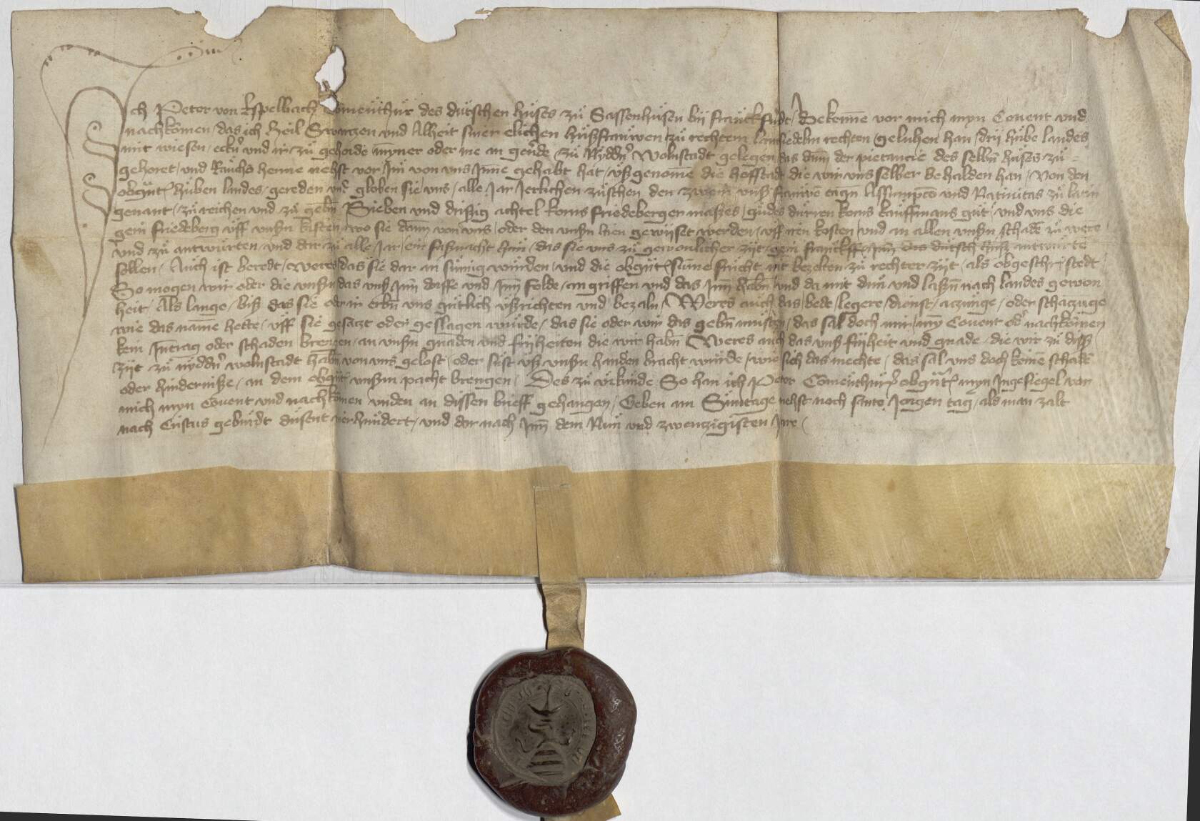 Das Bild zeigt die Aufnahme einer Urkunde, an der am unteren Ende mit einem Band ein auf braunen Wachs gedrucktes Siegel des Ritterbruders Peter von Espelbach angebracht ist.