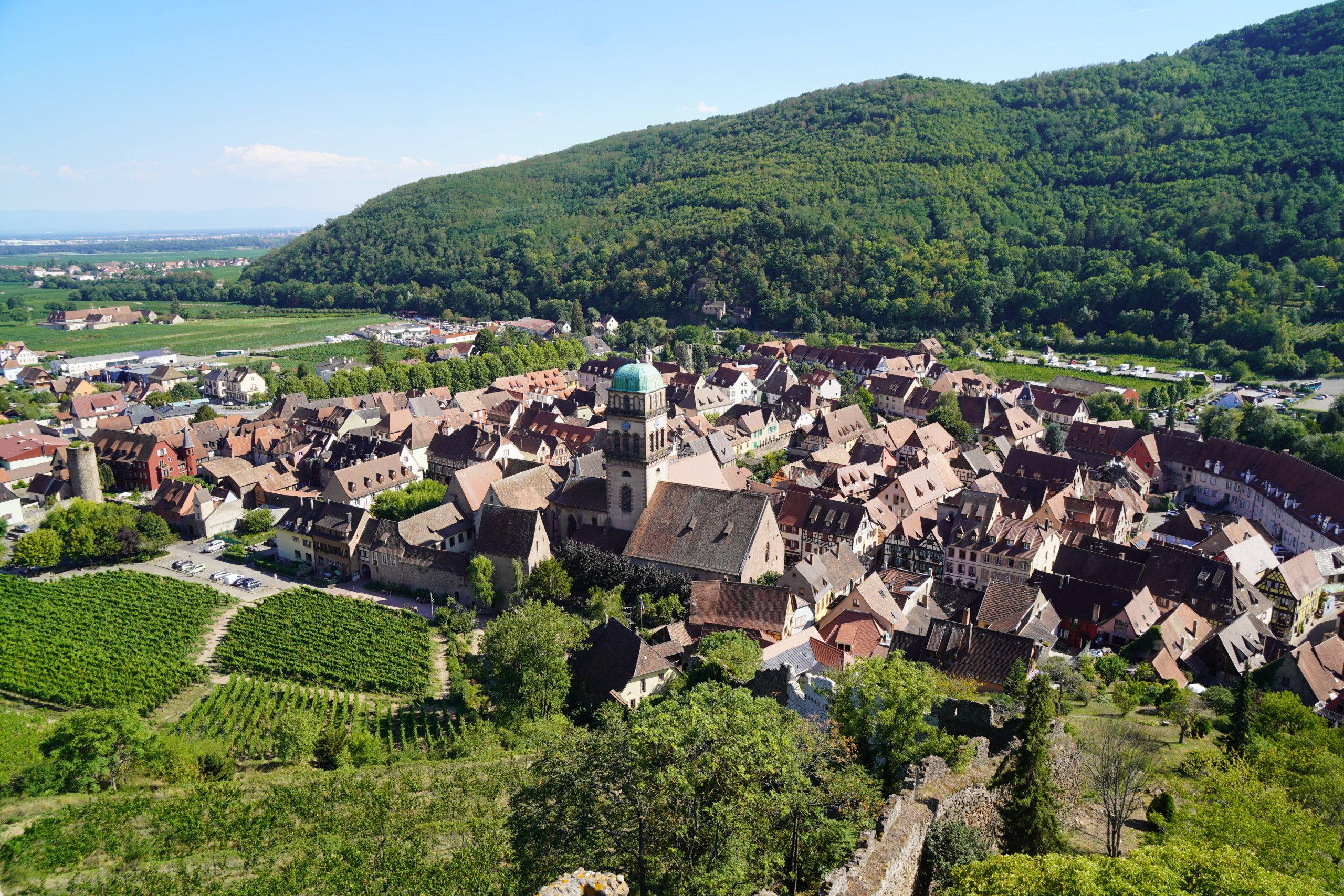 Das Bild zeigt die Stadt Kaysersberg von der Burg aus. Man kann gut die Lage der ehemaligen Reichsstadt am Fuße der Vogesen erkennen.