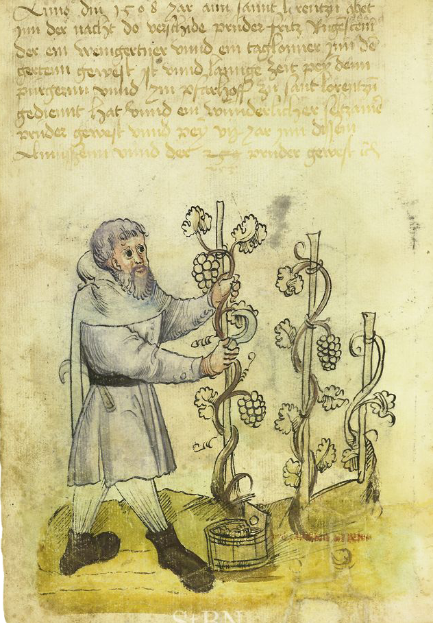 Hier sieht man einen Häcker Abbildung aus dem Hausbuch der Mendelschen Zölfbrüderstiftung